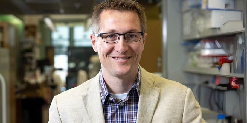 Hormone Discovery Offers New Hope for Endometriosis Diagnosis, Potentially Revolutionizing Women's Health