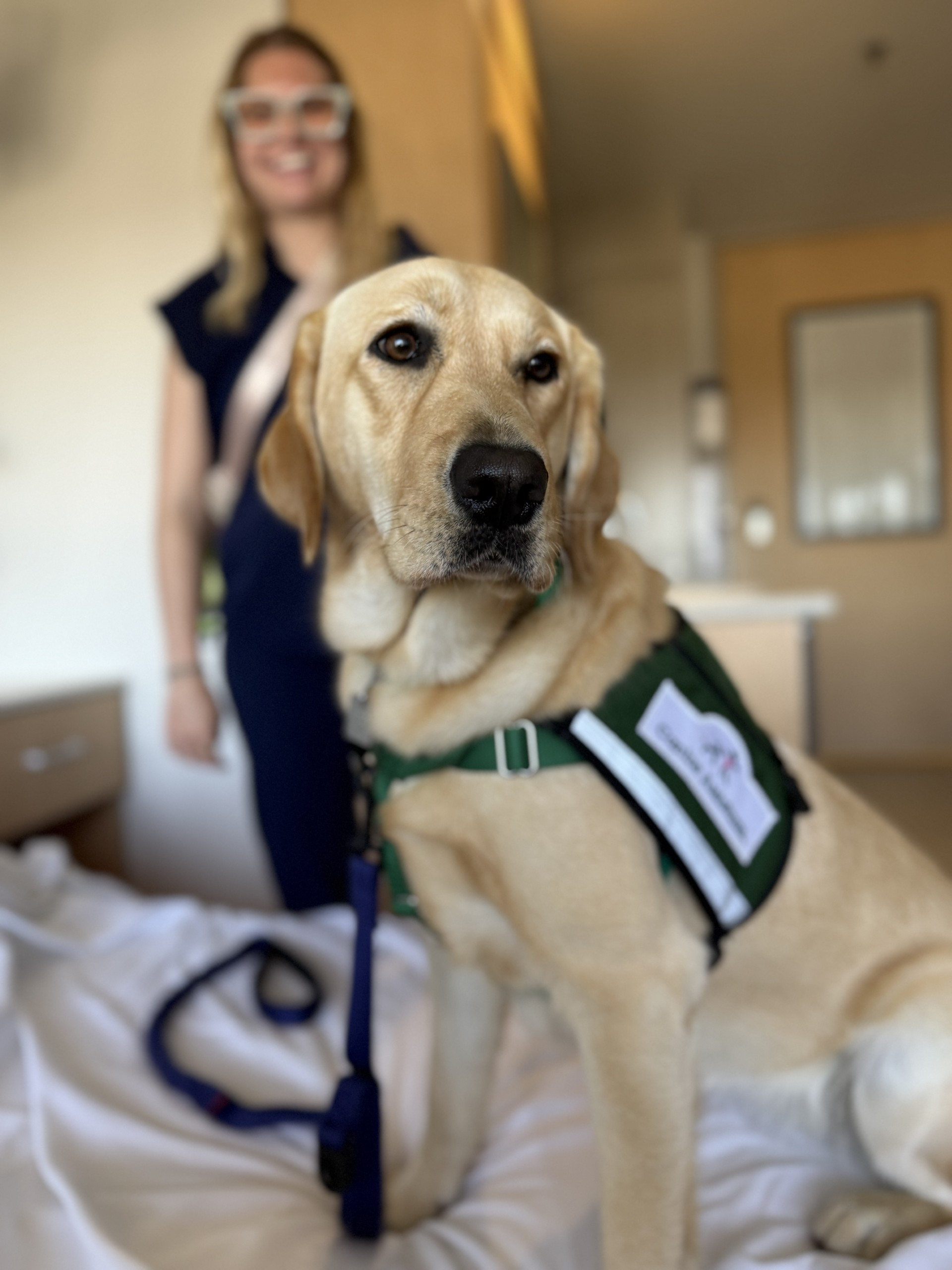 A therapy dog in a green vest visits a hospital room, sitting on a bed while a healthcare team member stands nearby.